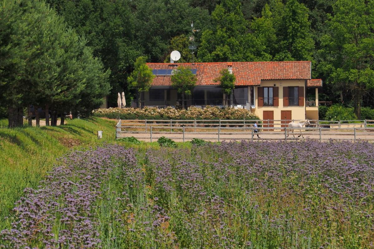 Galleria Ristoro - Cascina del Poggio - Agriturismo nel bosco