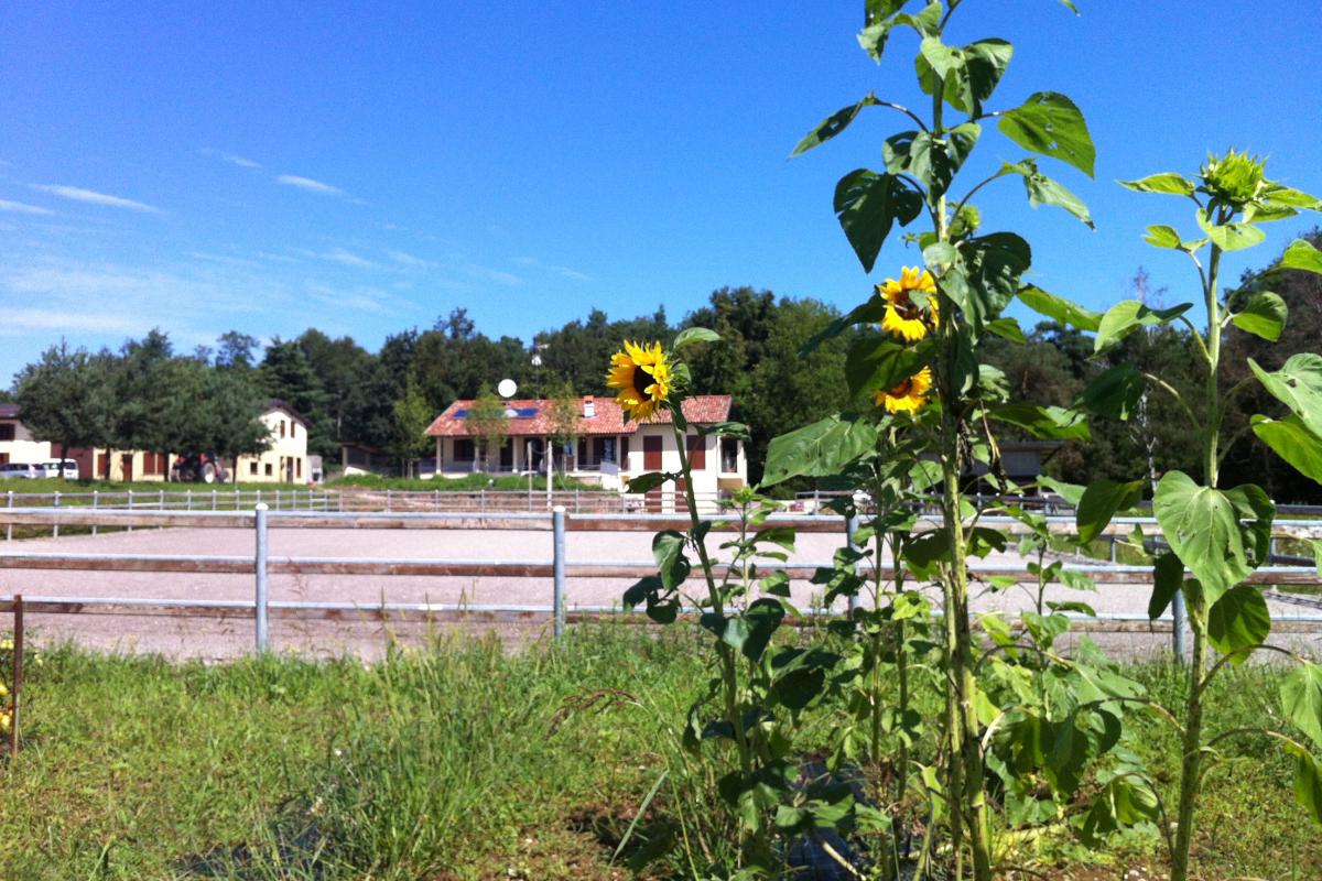 Galleria Ristoro - Cascina del Poggio - Agriturismo nel bosco