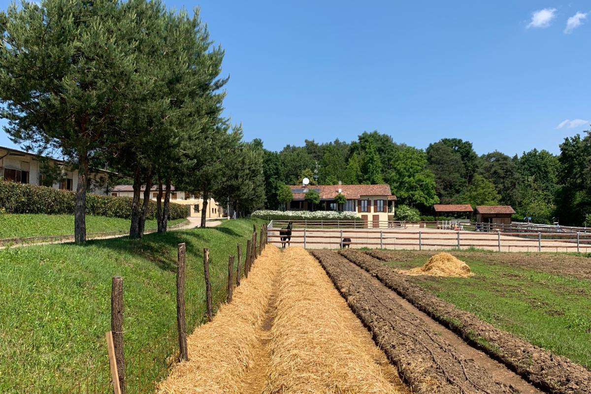 Galleria Ristoro - Cascina del Poggio - Agriturismo nel bosco