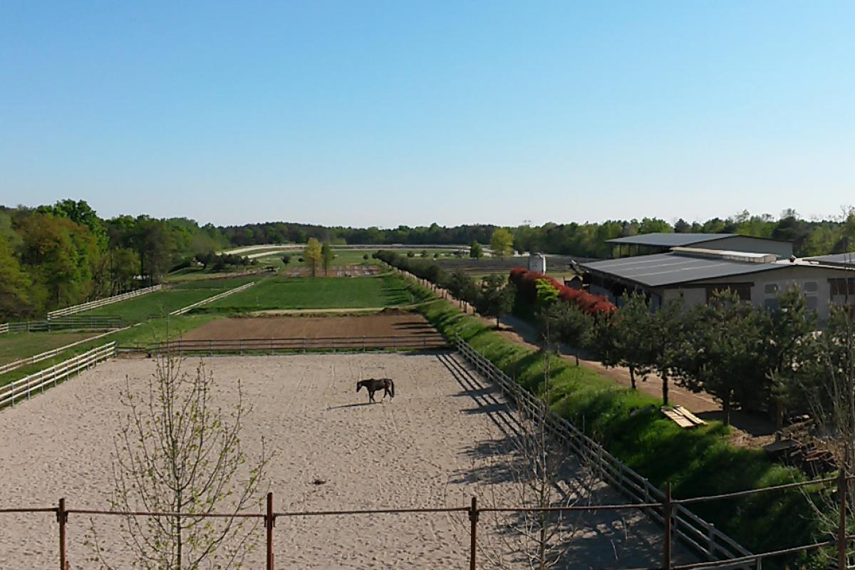 Galleria Ristoro - Cascina del Poggio - Agriturismo nel bosco