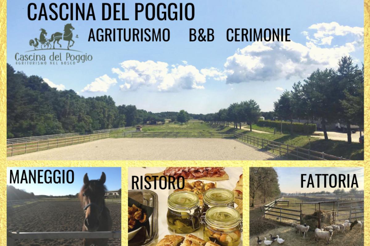 Galleria Ristoro - Cascina del Poggio - Agriturismo nel bosco