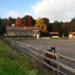 Galleria Ristoro - Cascina del Poggio - Agriturismo nel bosco