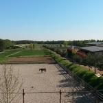 Galleria Ristoro - Cascina del Poggio - Agriturismo nel bosco