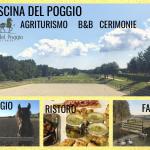 Galleria Ristoro - Cascina del Poggio - Agriturismo nel bosco
